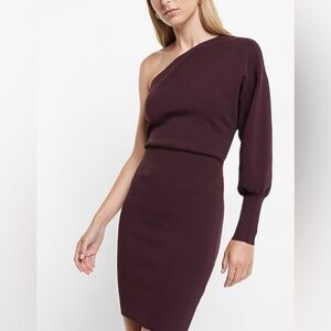 EXPRESS Deep Plum One Sleeve Fitted Above The Knee Dress